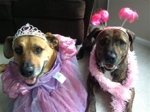 Molly and Cooper 